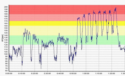 The physiological response to standardized training set – V.S. – 23.10.2014 – Blood Lactate Concentration: 10.5mM 